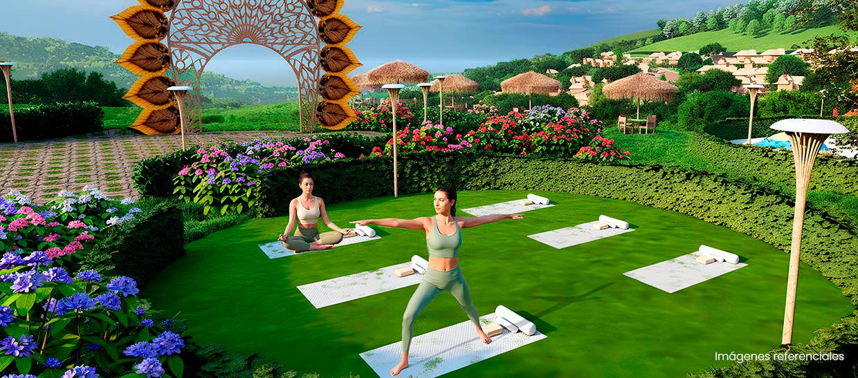 Zona de yoga: Espacio tranquilo para conectar contigo y la energía natural de la selva.