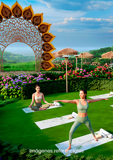 Zona de yoga: Espacio tranquilo para conectar contigo y energía natural.