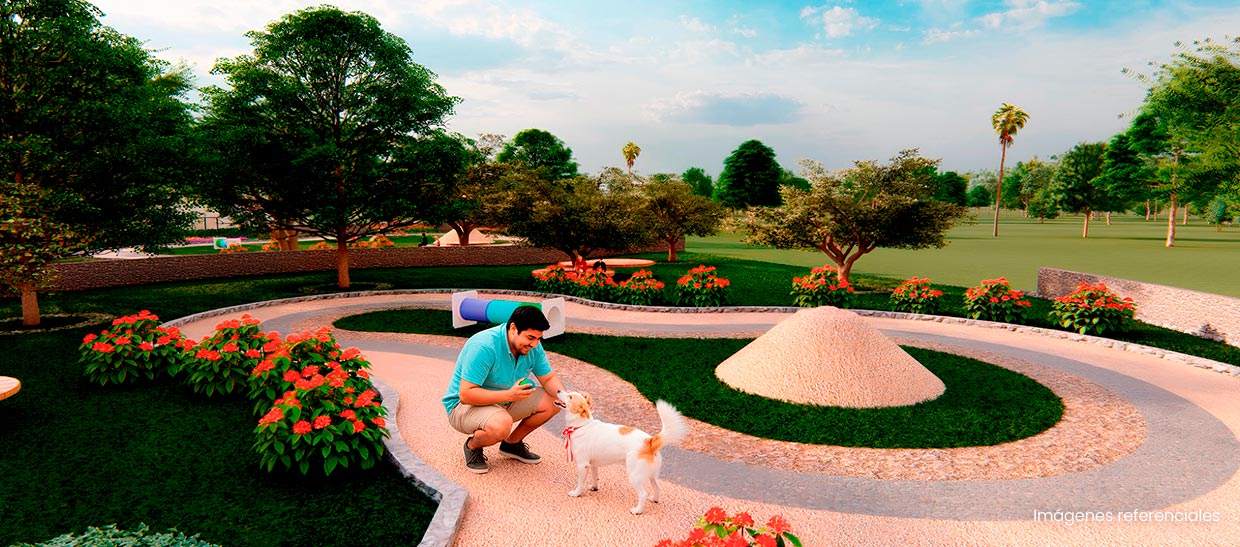 Parque Petfriendly:  un espacio pensado para que tu engreído juegue, corra y disfrute con total libertad.