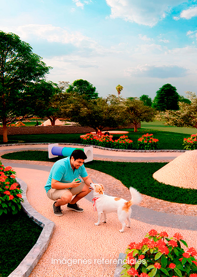 Parque Petfriendly :  Espacio para que tu engreído juegue, corra y disfrute libre.
